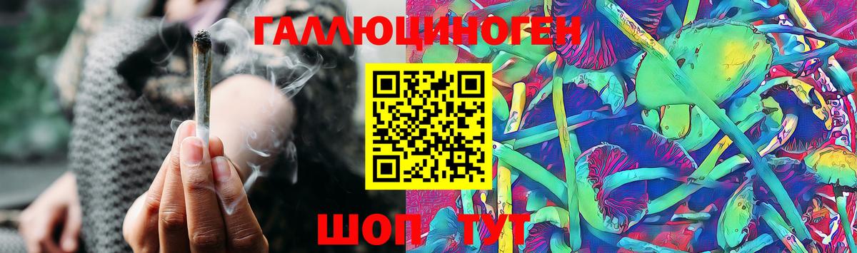 Галлюциногенные грибы Psilocybe  Вход с VPN  Мариинск 