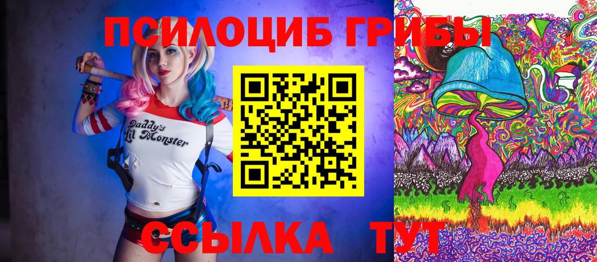 Псилоцибиновые грибы Psilocybine cubensis Мариинск
